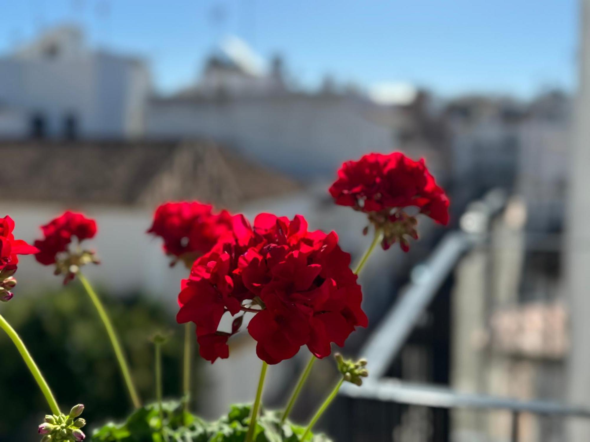 Encantadora Casa En El Corazon De Estepona Bagian luar foto