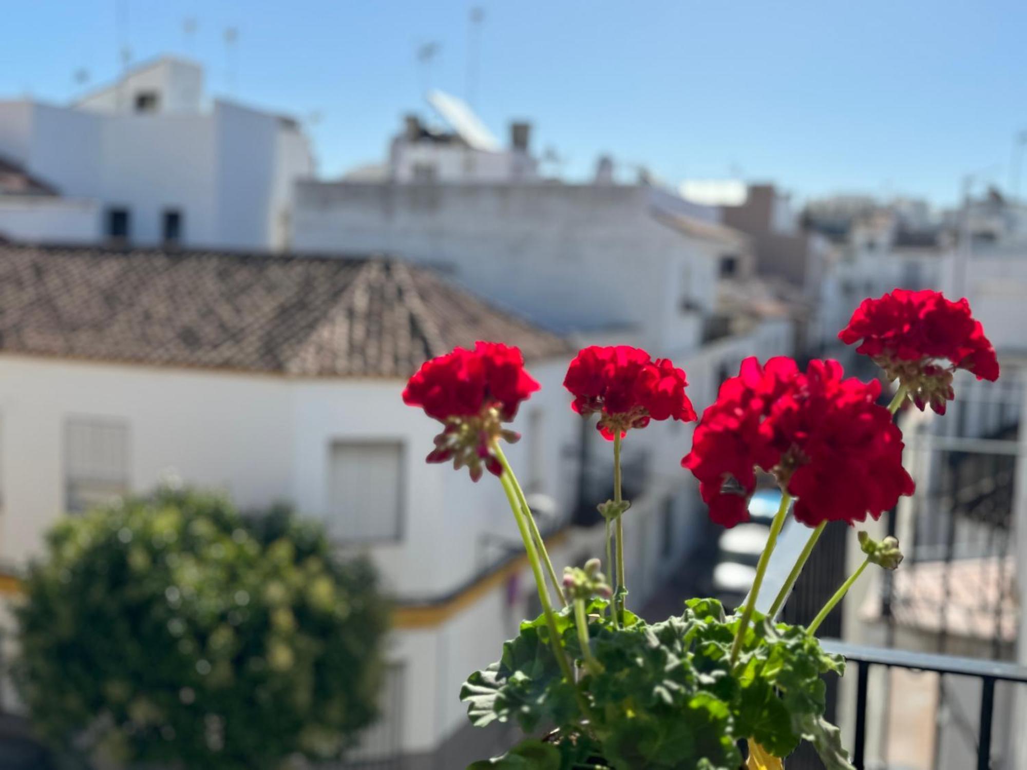 Encantadora Casa En El Corazon De Estepona Bagian luar foto
